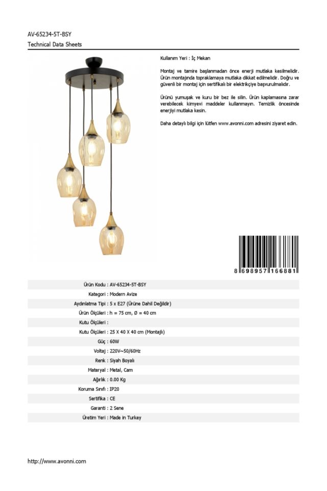 Selvi Modern Avize E27 60W 40cm Metal Siyah Dorbien-AV-65234-5T-BSY